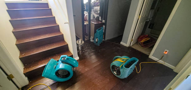Water damage restoration experts in CO