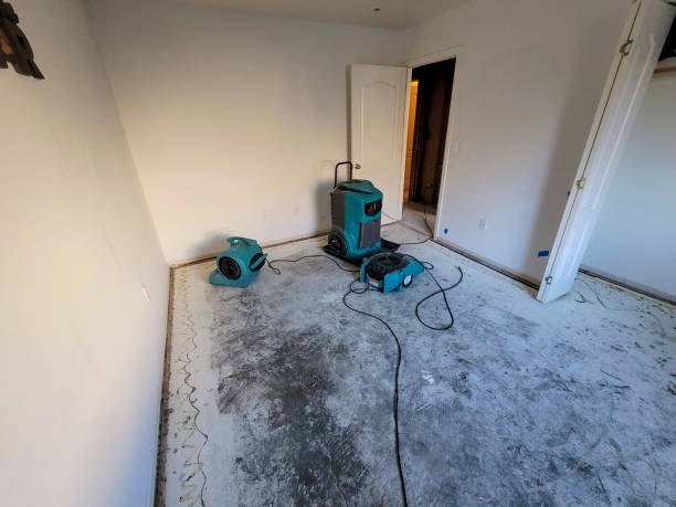 Sewage cleanup and water damage restoration in CO