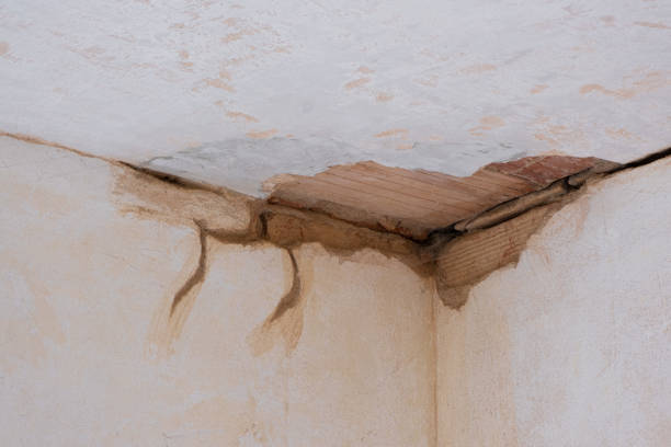 Best Ceiling water damage repair  in Parker, CO