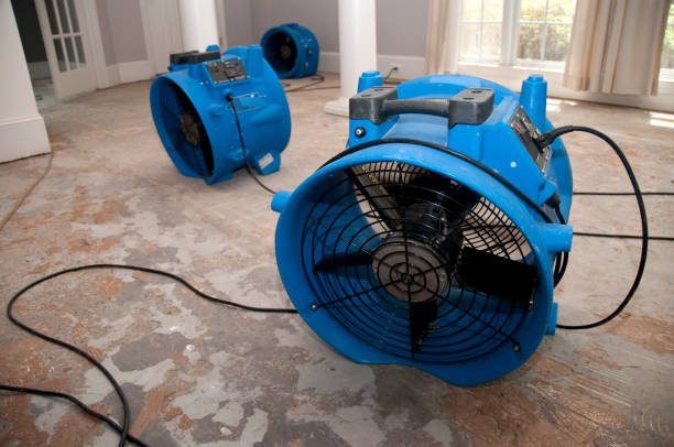 Best Local water damage restoration  in Parker, CO