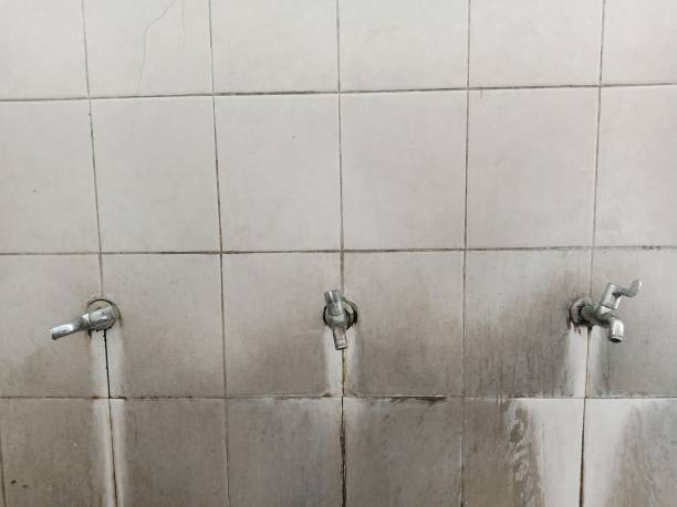 Best Flooded house restoration  in Parker, CO